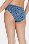 Zivame Anti-Microbial Low Rise Full Coverage Bikini Panty (Pack of 3) - Multicolor — thumbnail 21
